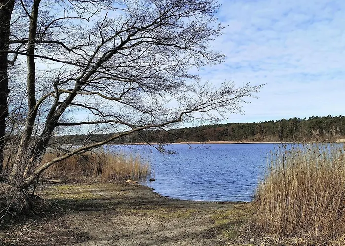 Fuer 6 Personen In Lejlighed