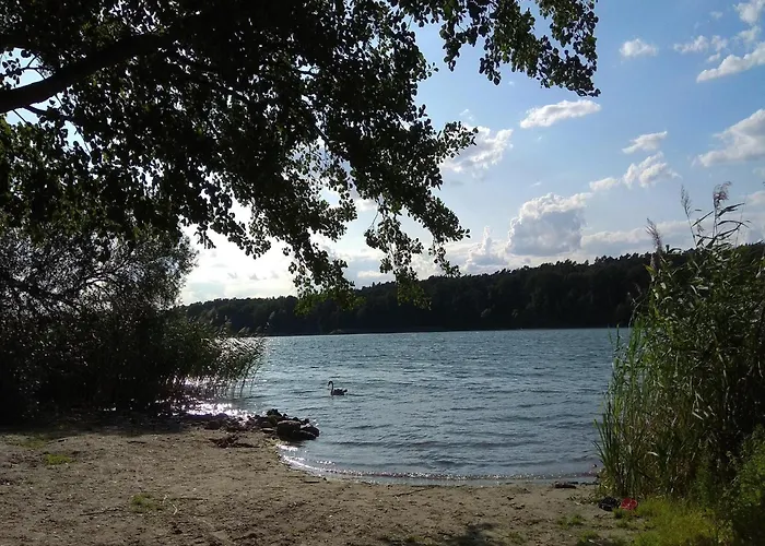 Fuer 6 Personen In Lejlighed Strausberg