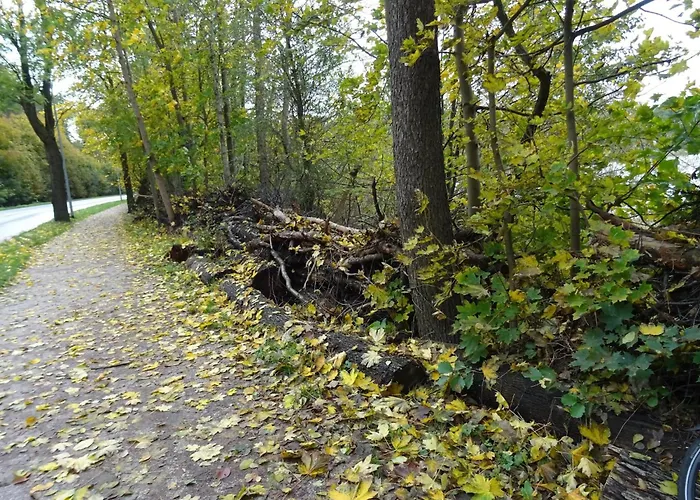 Fuer 6 Personen In Lejlighed *